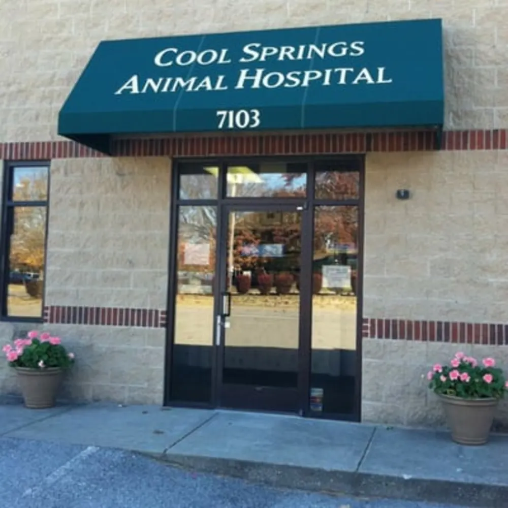 Cool Springs Animal Hospital