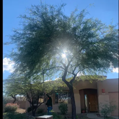 Arizona Shape And Scape 