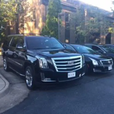 Bovex Limousine Worldwide Inc