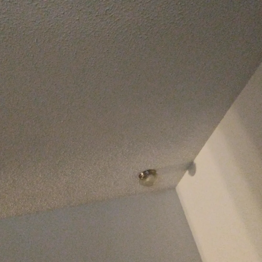 2bros