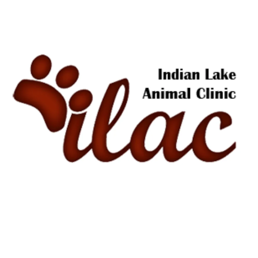 Indian Lake Animal Clinic