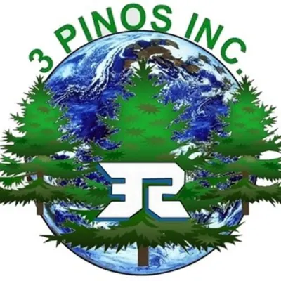 3 Pinos Inc.