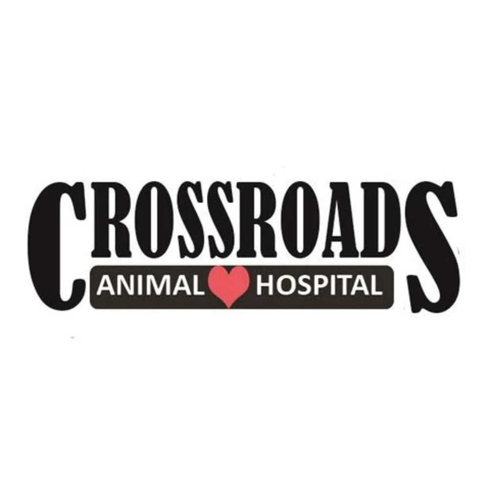 Crossroads Animal Hospital