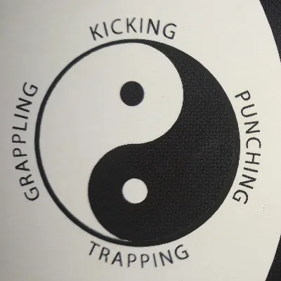 Kongshou, MMA, & Boxing