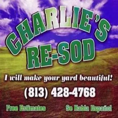 Charlie's Re-Sod - Tampa