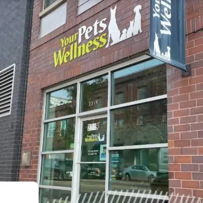 Your Pet's Wellness