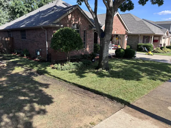 Palisades Zoysia Sod Installation in Denton , Texas 