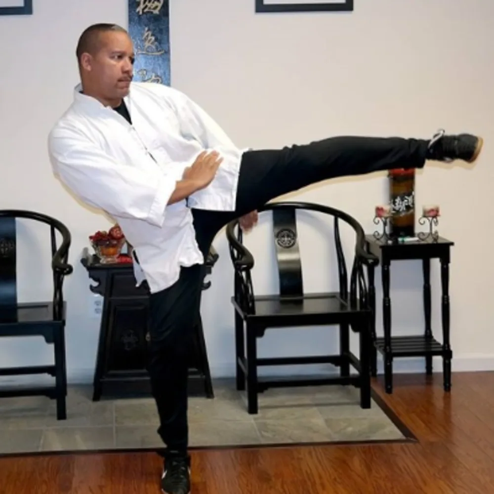 Moy Yat Martial Intelligence