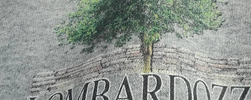 Lombardozzi Landscaping And Mason Llc