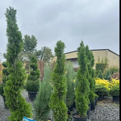 Holy Land Landscape & Fencing Concrete 