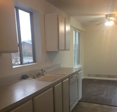 VERONICA'S ELITE CLEANING
