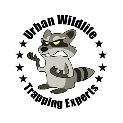 Urban Wildlife Trapping Experts