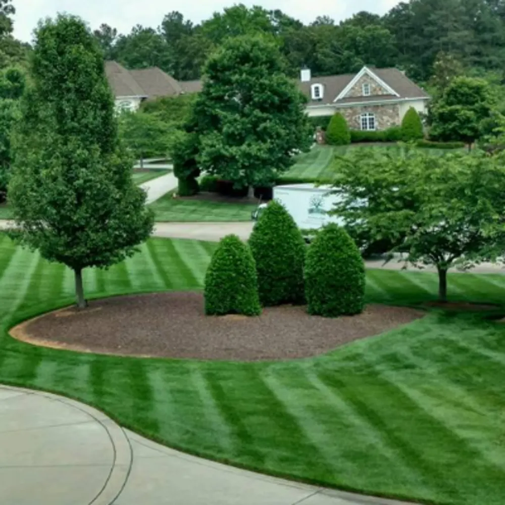 J T And D Landscape