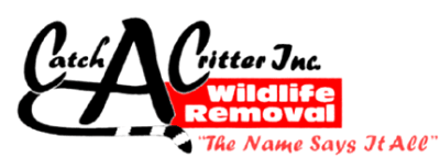 Catch-A-Critter Inc Wildlife Removal