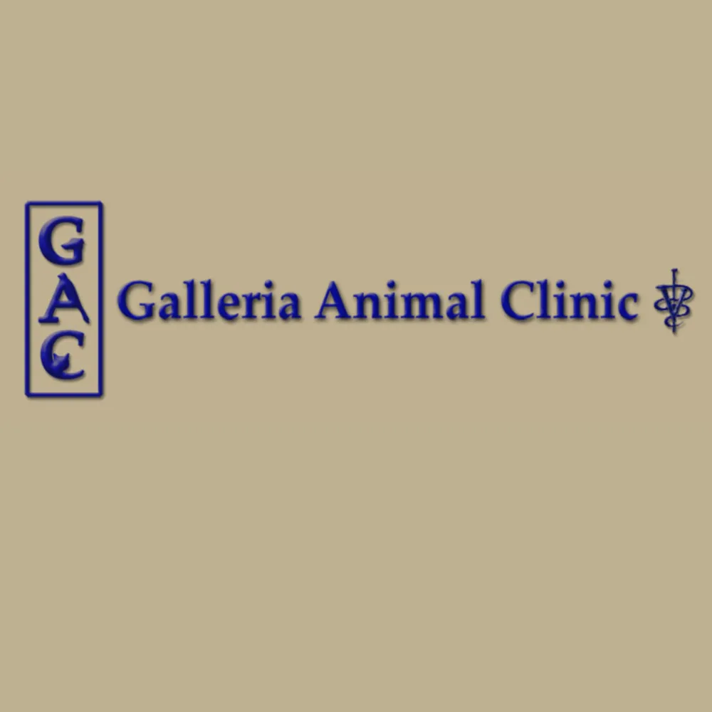 Galleria Animal Clinic