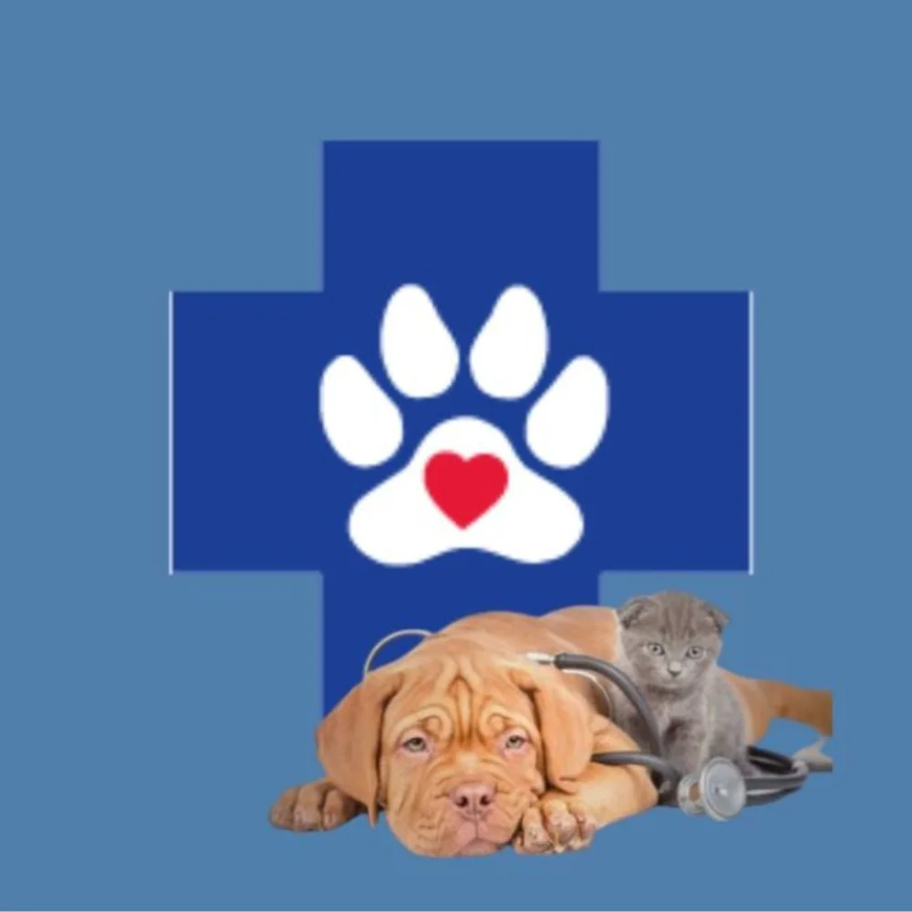 Urgent VET Care