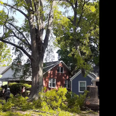Omega Tree Service 