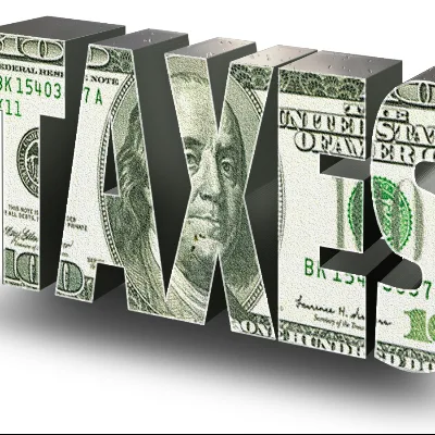Business & Financial Management Services, Inc.