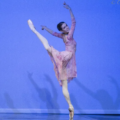 Ballet Lessons With Petra Conti