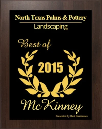 North Texas Palms & Pottery