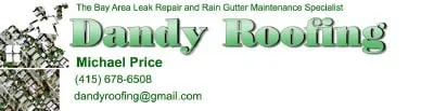 Dandy Roofing