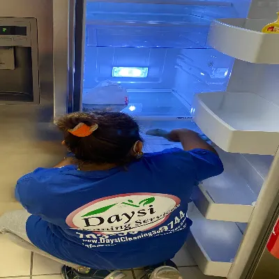 Daysi Cleaning Services