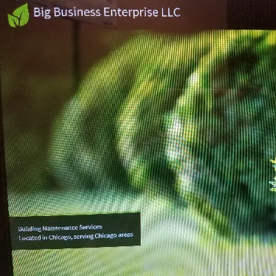 Big Business Enterprise LLC