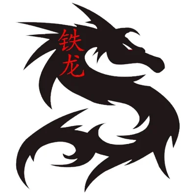 Iron Dragon Kung Fu Academy