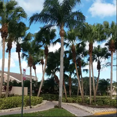 Landscaper.company