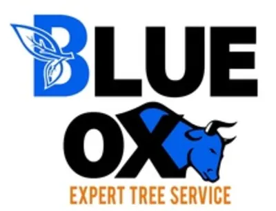 Blue Ox Expert Tree Service