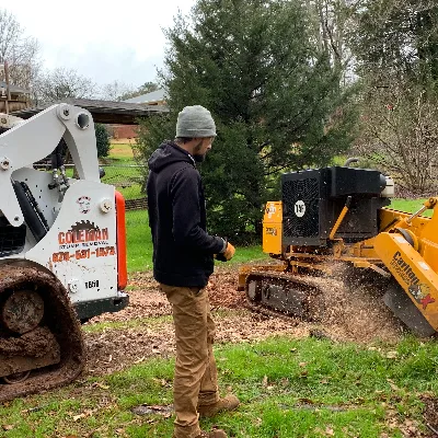 Coleman Stump Removal