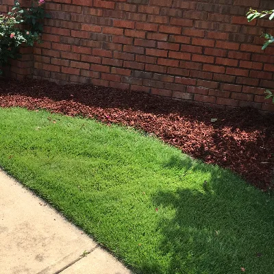 Meadows Lawn Care