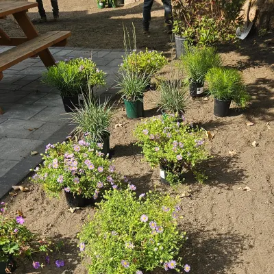 Roger Landscaping