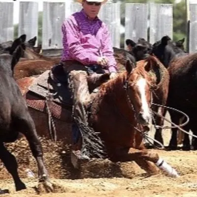 Thomas Ranch