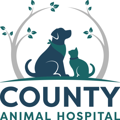 County Animal Hospital
