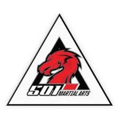 501 Martial Arts