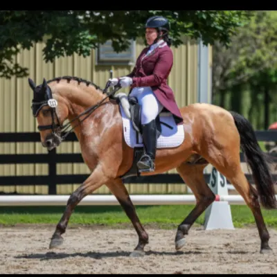 Alya Siddique Dressage LLC