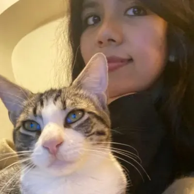 Pet Sitting