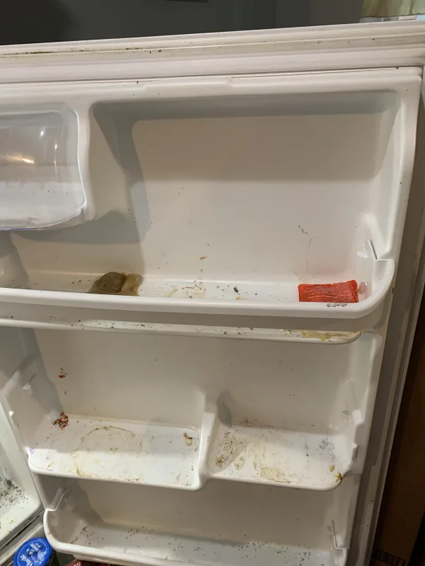 Before picture of customers fridge 