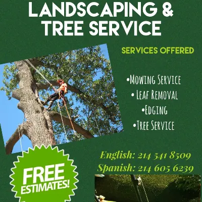 BM TREE SERVICE AND LANSCAPING