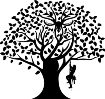 Tree Sensible