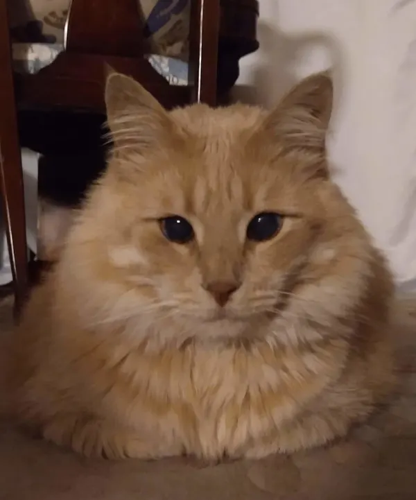 Milo, 8