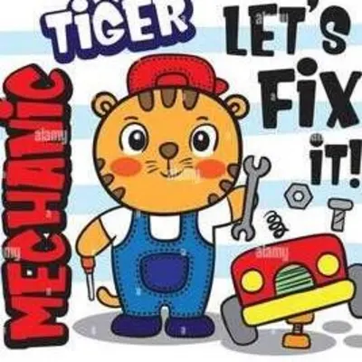Tiger One Appliance Repair 