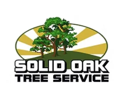 Solid Oak Tree Service