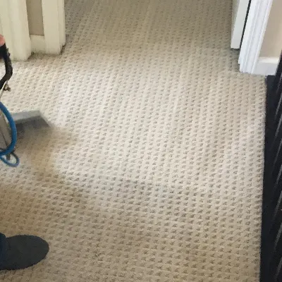 Citys Finest Carpet Care