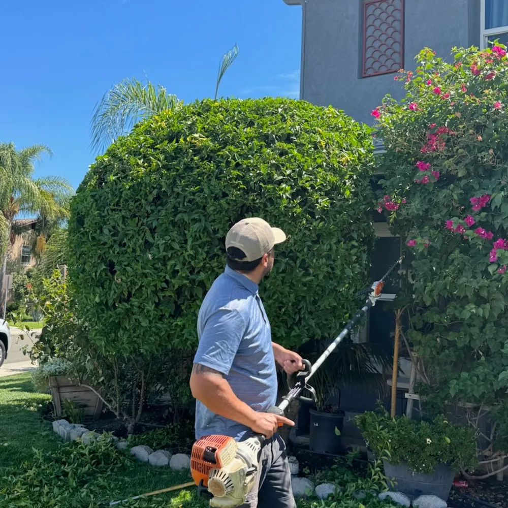 Gaminos Landscaping