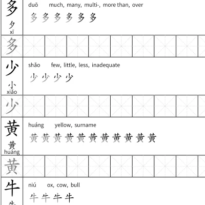 Flying Squirrel Chinese School