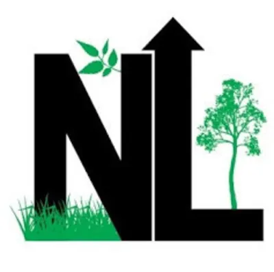 Next Level Lawn And Landscape