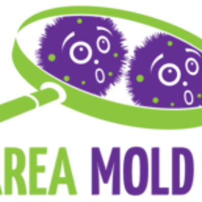 Bay Area Mold Pros