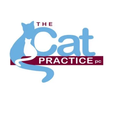The Cat Practice Pc